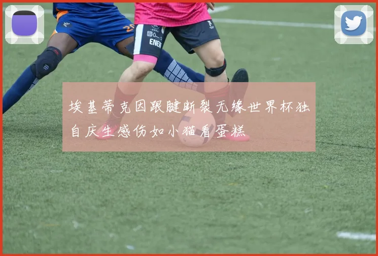 埃基蒂克因跟腱断裂无缘世界杯独自庆生感伤如小猫看蛋糕